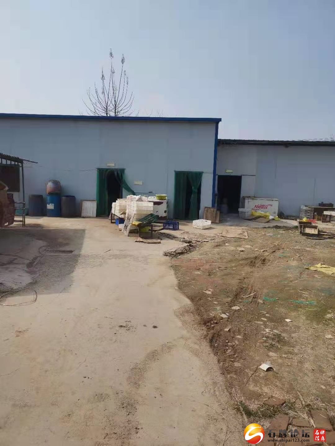 mmexport1636895573894.jpg